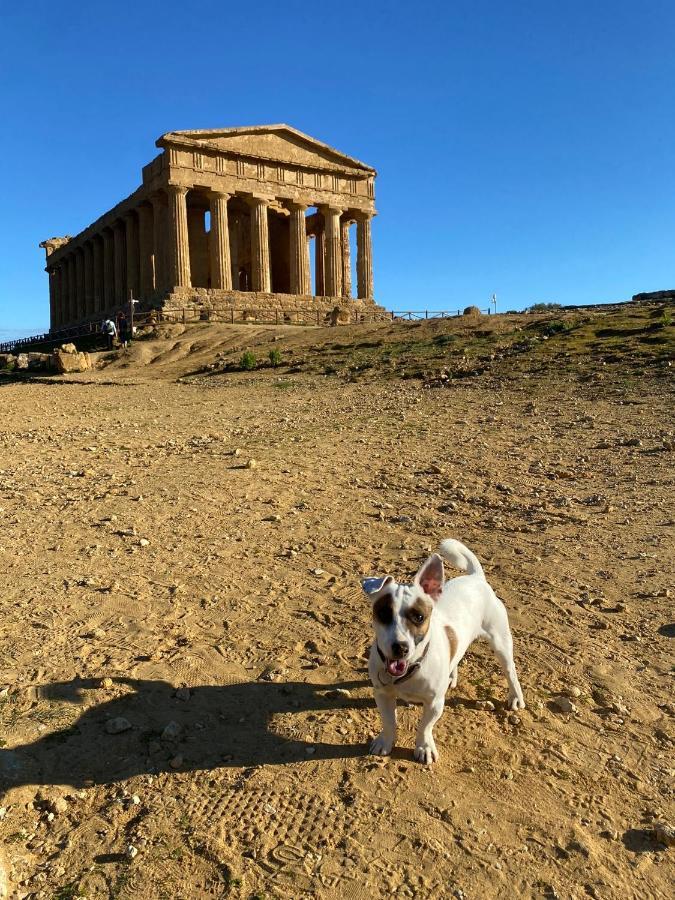 Akragaroom Agrigento Zewnętrze zdjęcie